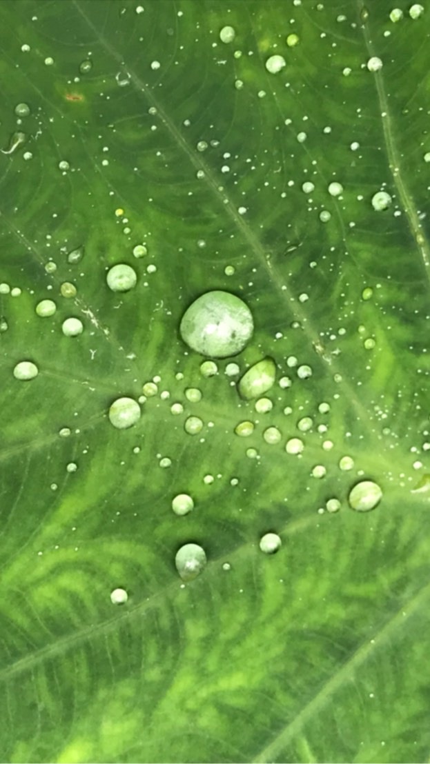 當下的力量