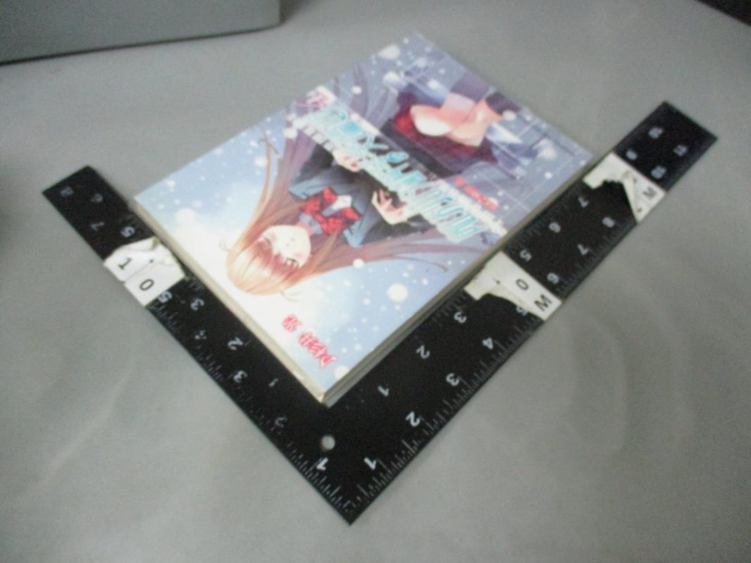 【書寶二手書T1／言情小說_KAV】離別的鋼琴奏鳴曲4_輕小說_杉井光