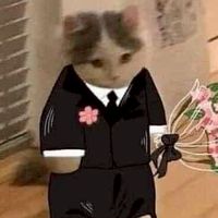 🖼️