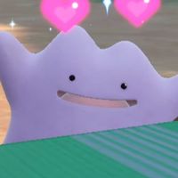 様々なポケモンを楽しもう‼️