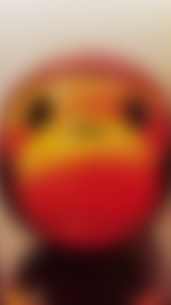 พิกัดลับ คอนอ