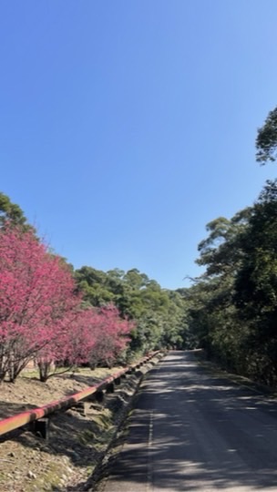 嗨，跑步啦~桃廠路跑社