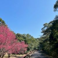 嗨，跑步啦~桃廠路跑社