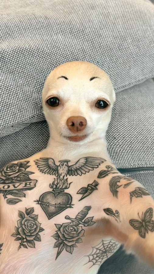 𝕾𝖍𝖔𝖕 𝕽𝖆𝖙𝖜𝖎𝖘𝖎𝖙 𝖘𝖚𝖙𝖈𝖍𝖆𝖎 V1.