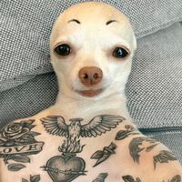 𝕾𝖍𝖔𝖕 𝕽𝖆𝖙𝖜𝖎𝖘𝖎𝖙 𝖘𝖚𝖙𝖈𝖍𝖆𝖎 V1.