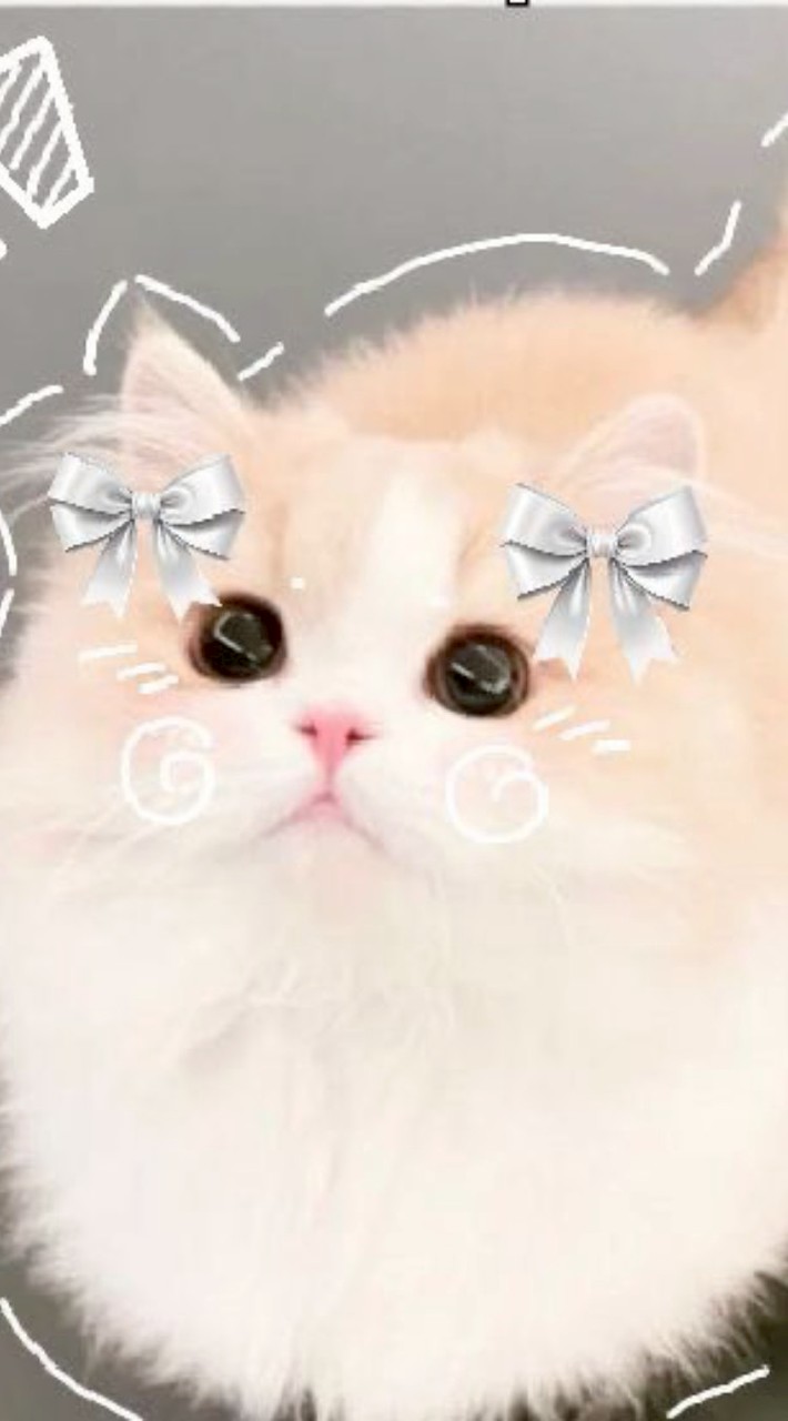 คนน่ารักมาทางนี้คั้ปป🌸✨️🎀🐈‍⬛