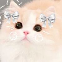 คนน่ารักมาทางนี้คั้ปป🌸✨️🎀🐈‍⬛