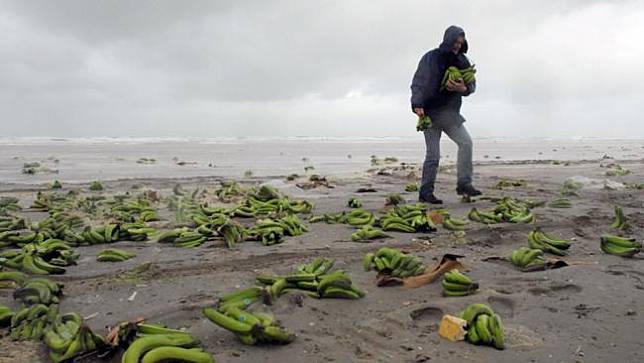 6 Hal Aneh yang Pernah Terdampar di Pantai