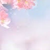 *璀璨四國6日*11/22～11/27