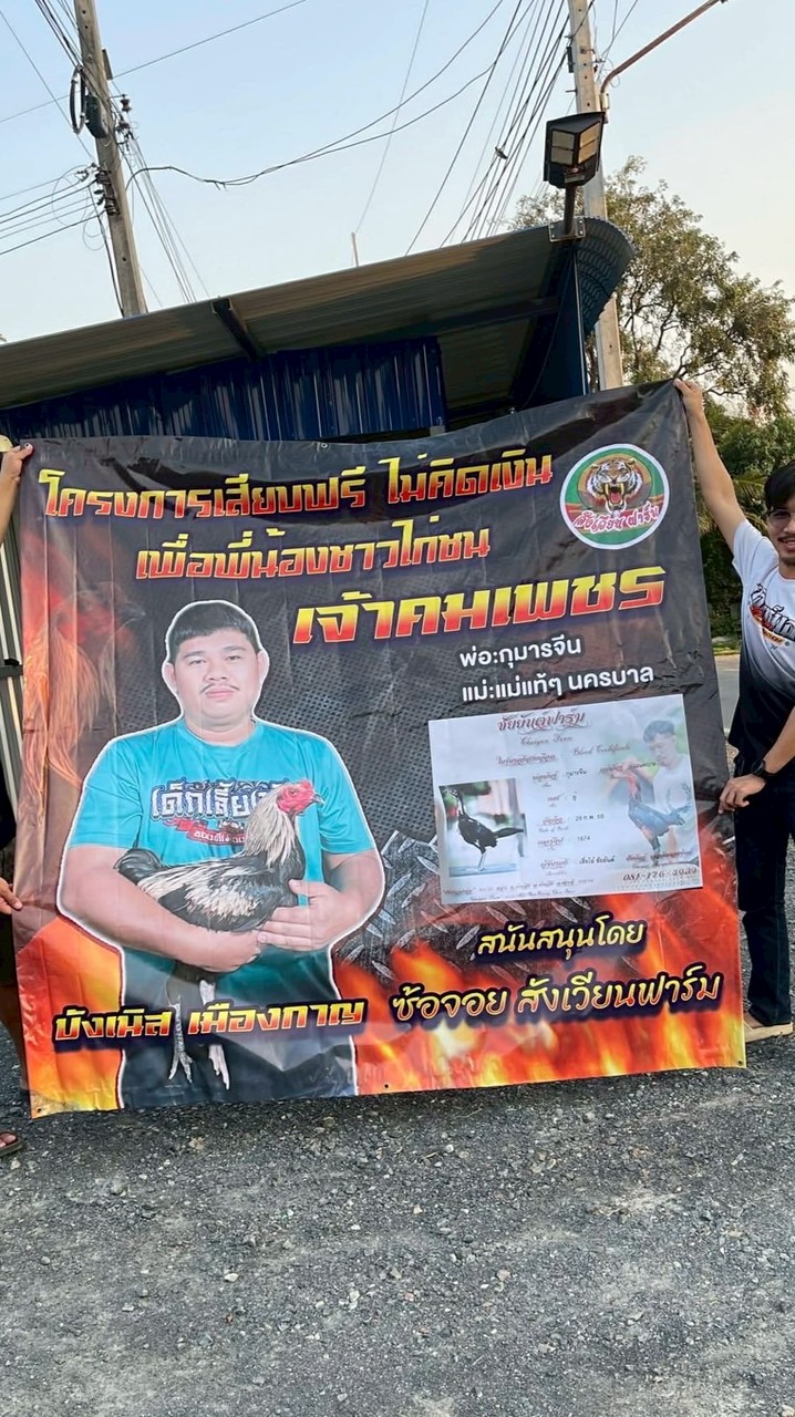 โครงการผสมไก่ฟรี นัดคิว ฉีดลูกกุมารจีน