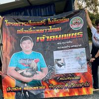 โครงการผสมไก่ฟรี นัดคิว ฉีดลูกกุมารจีน