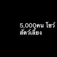 5,000คน โชว์สัตว์เลี้ยง
