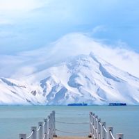 南屯 富宇市政大道 交流群 阿堂