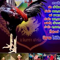 จ.จันทราฟาร์ม