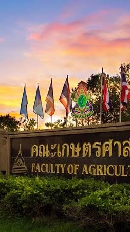 "Freshy เกษตรมอทราย '69"