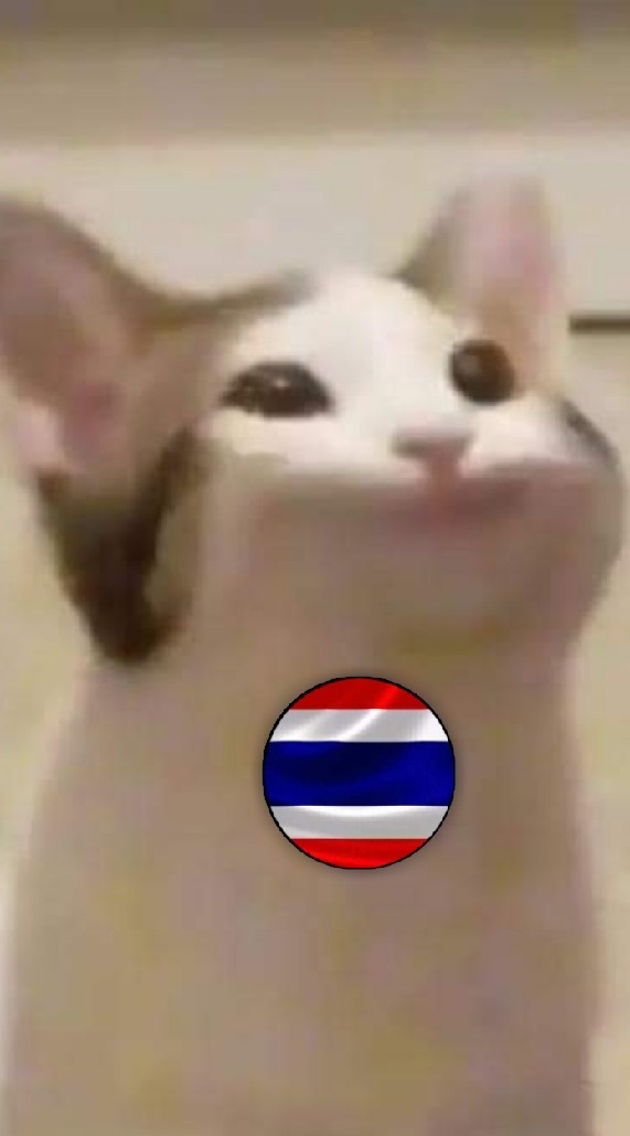 OpenChat POPCAT - THAILAND