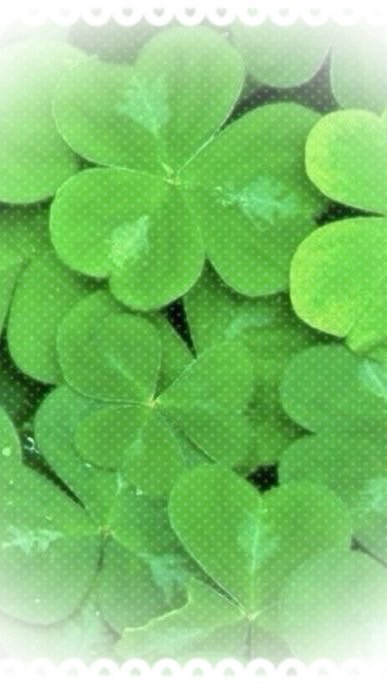 littleloot.cutie spoil 🍀