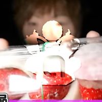 セイマニ民で集まりましょーの会