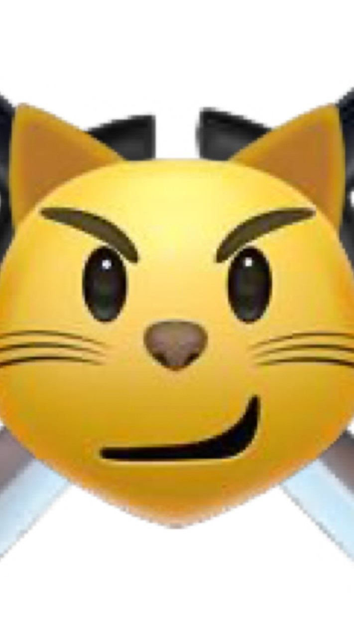 貓咪騎士團😼⚔️
