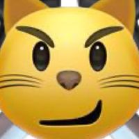 貓咪騎士團😼⚔️