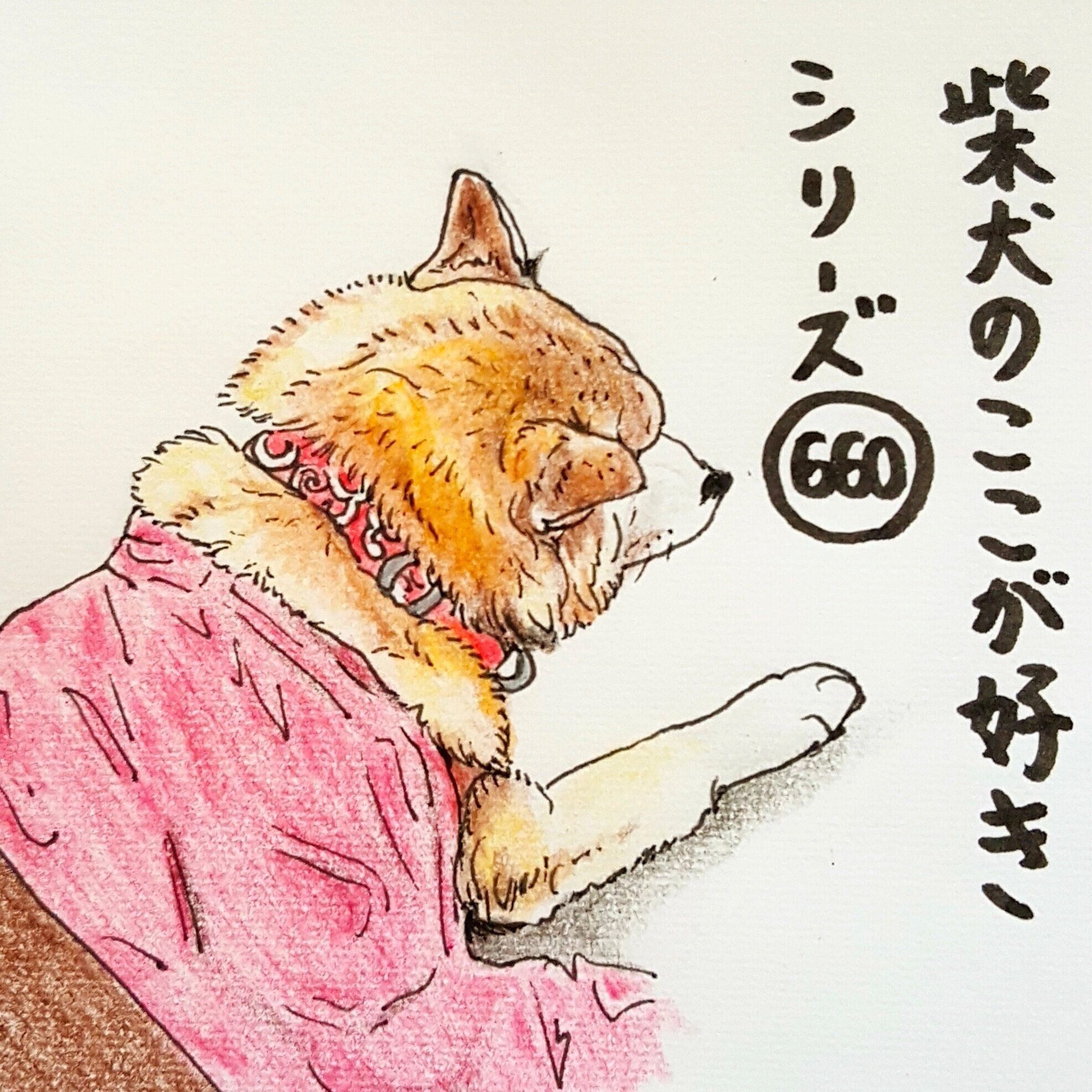 柴犬あるある 人も犬もこたつむりになるとこある 連載 ここ掘れここ柴 Vol 60