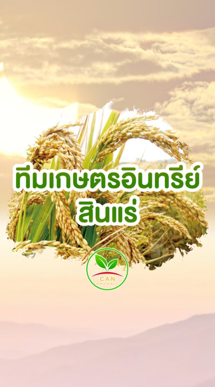 เกษตรอินทรีย์สินแร่