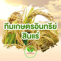 เกษตรอินทรีย์สินแร่