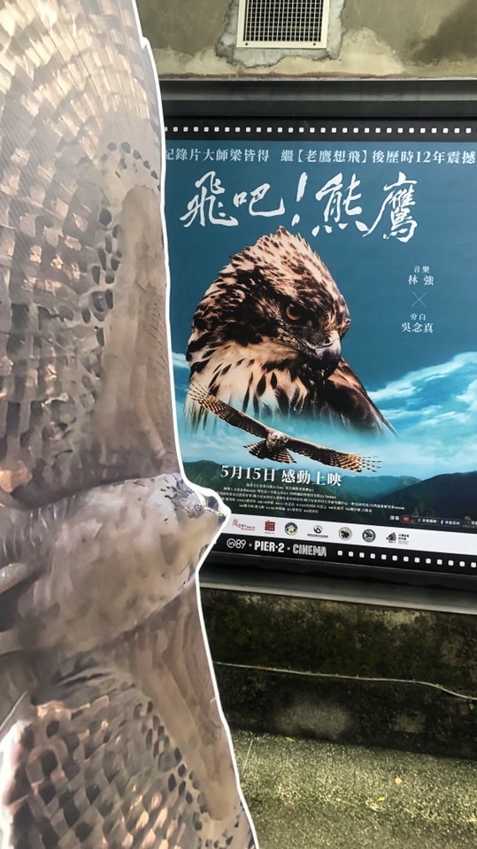 分母計劃