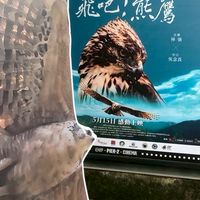 分母計劃