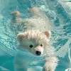 ⸝⸝୨୧ 浩想遇見霖 ୨୧⸝⸝