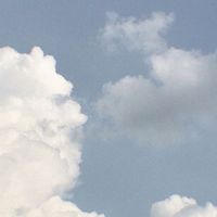 狗狗貓貓購物中心