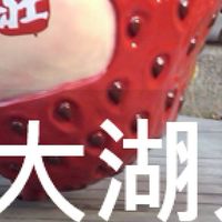 我是大湖人