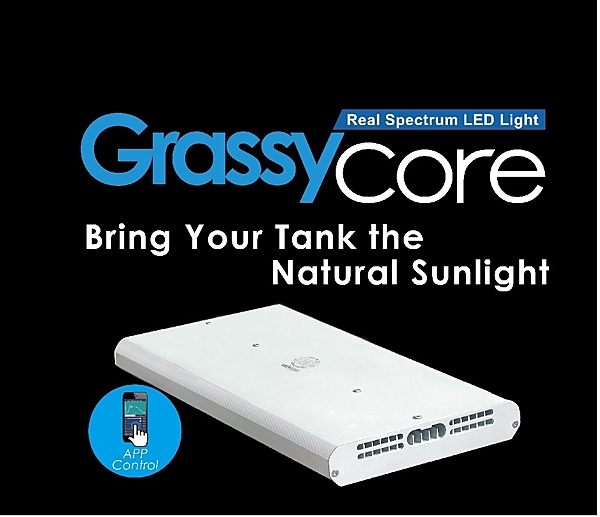 144W 智慧型燈具( Grassy Core最新款)