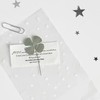 ⌗ ​​星澄む夜の汐 ⸝⸝.☘