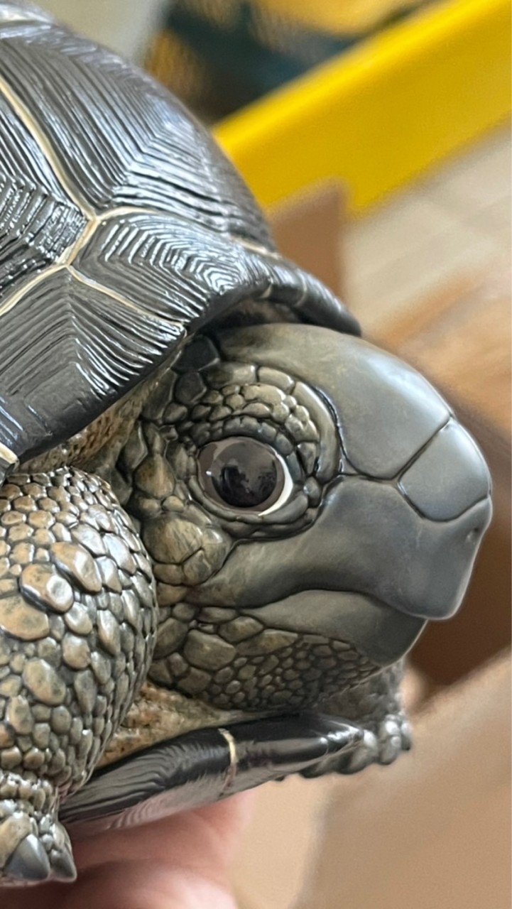 陸龜超市TORTOISE SUPERMARKET