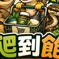 爬到飽｜Everything for Reptiles
