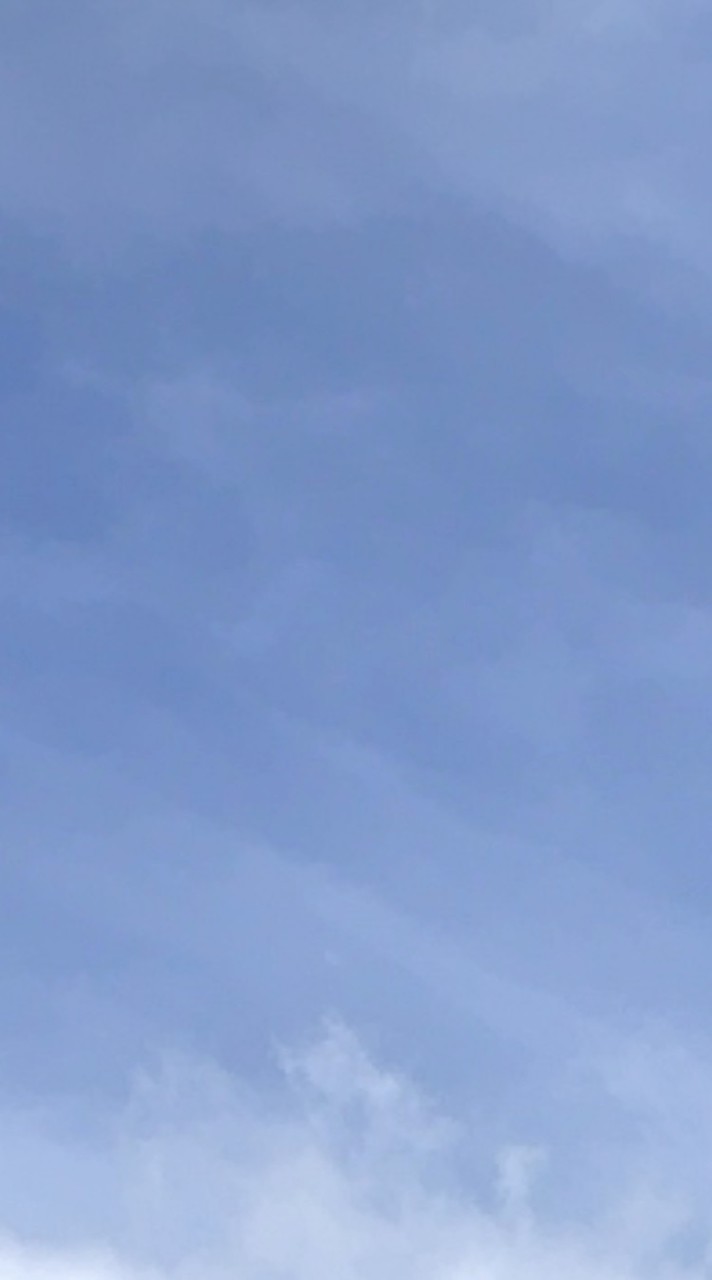 ブルーシーアンチをボコす会