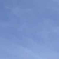 ブルーシーアンチをボコす会
