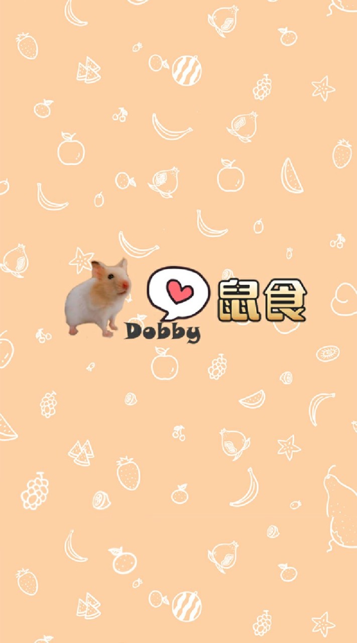 🐹Dobby愛鼠食💛