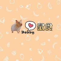 🐹Dobby愛鼠食💛