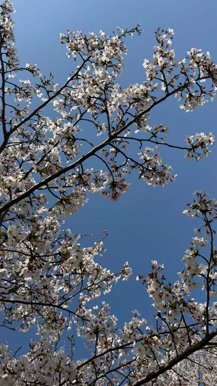 ４月頑張ろう会【あおい】