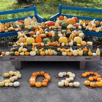 ちっぷべつハロウィンステーション2024 ボランティアの会