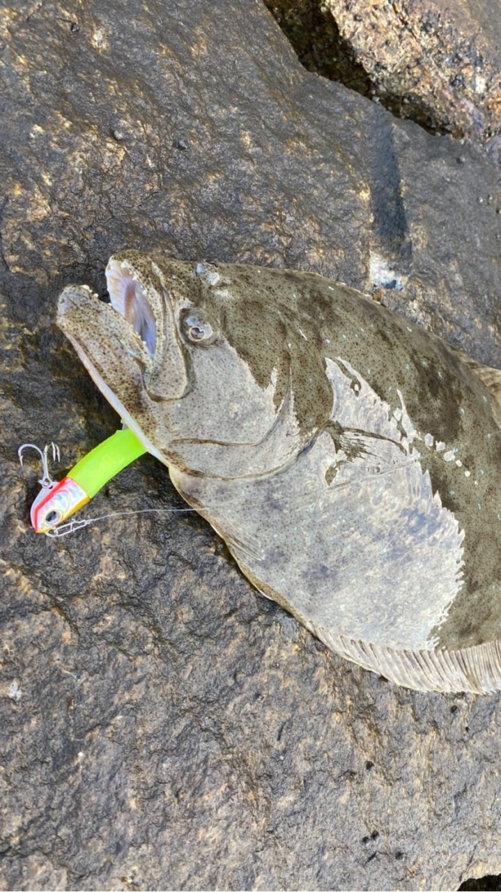 岡山釣り‪🎣‬(ルアーマン限定)