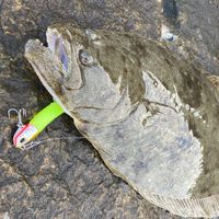 岡山釣り‪🎣‬(ルアーマン限定)