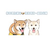柴不理你🐶潮玩代購•泡泡瑪特