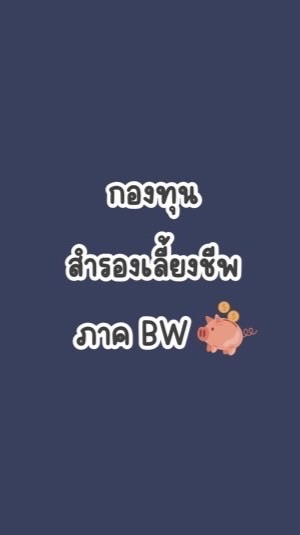 กองทุนสำรองเลี้ยงชีพ ภาค BW
