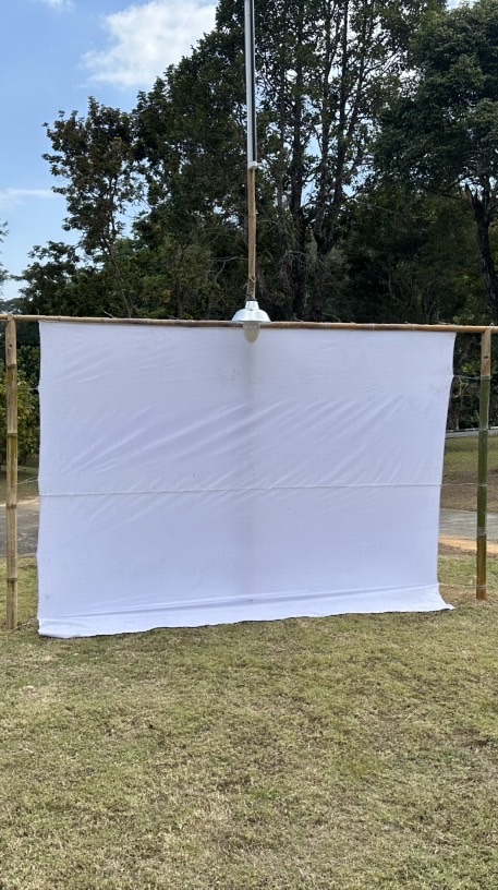 กิจกรรมดูแมลงQSBG-001