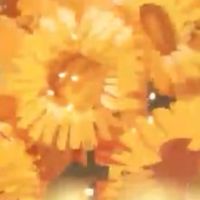 話したい時に話そう！