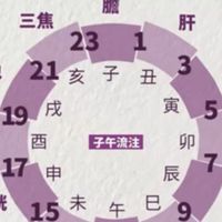 未來生物天成團隊玉米胚芽粉SOD