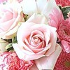 無言で写真を貼る部屋